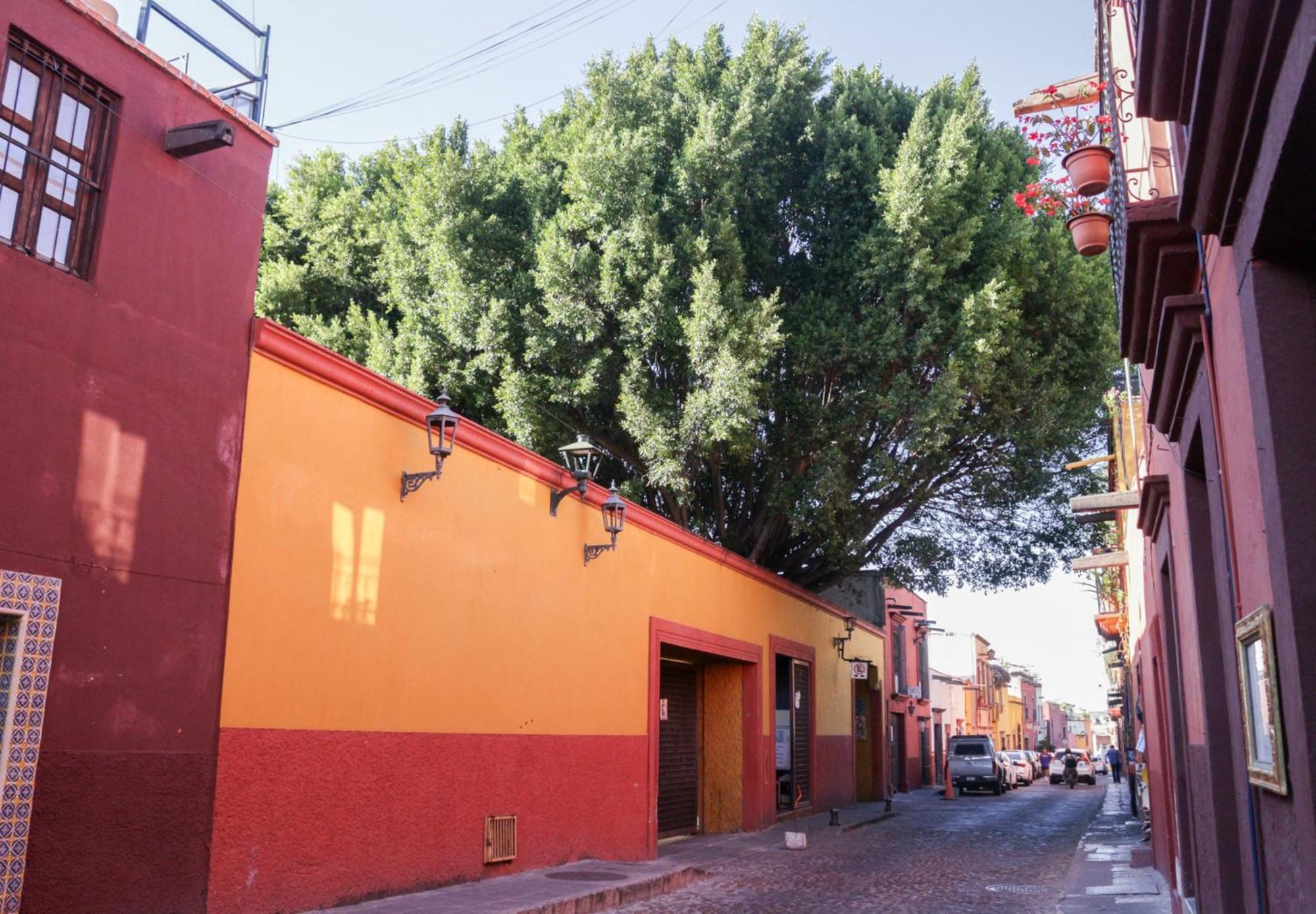 Casa Relox 43 Hotel San Miguel de Allende Eksteriør billede